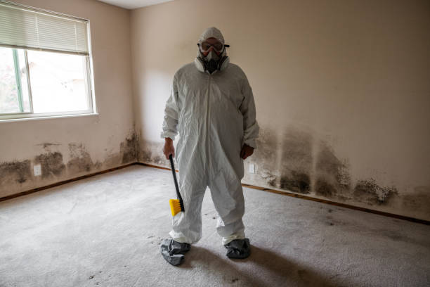 Forensic Mold Investigation in Baxter, TN